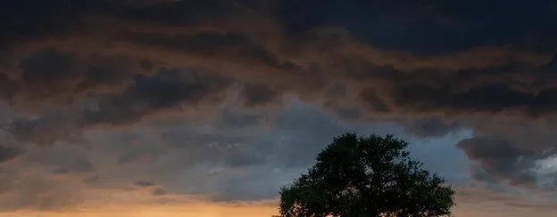 what to do after a storm