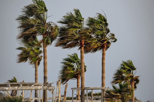 Tropical storm vs hurricanes