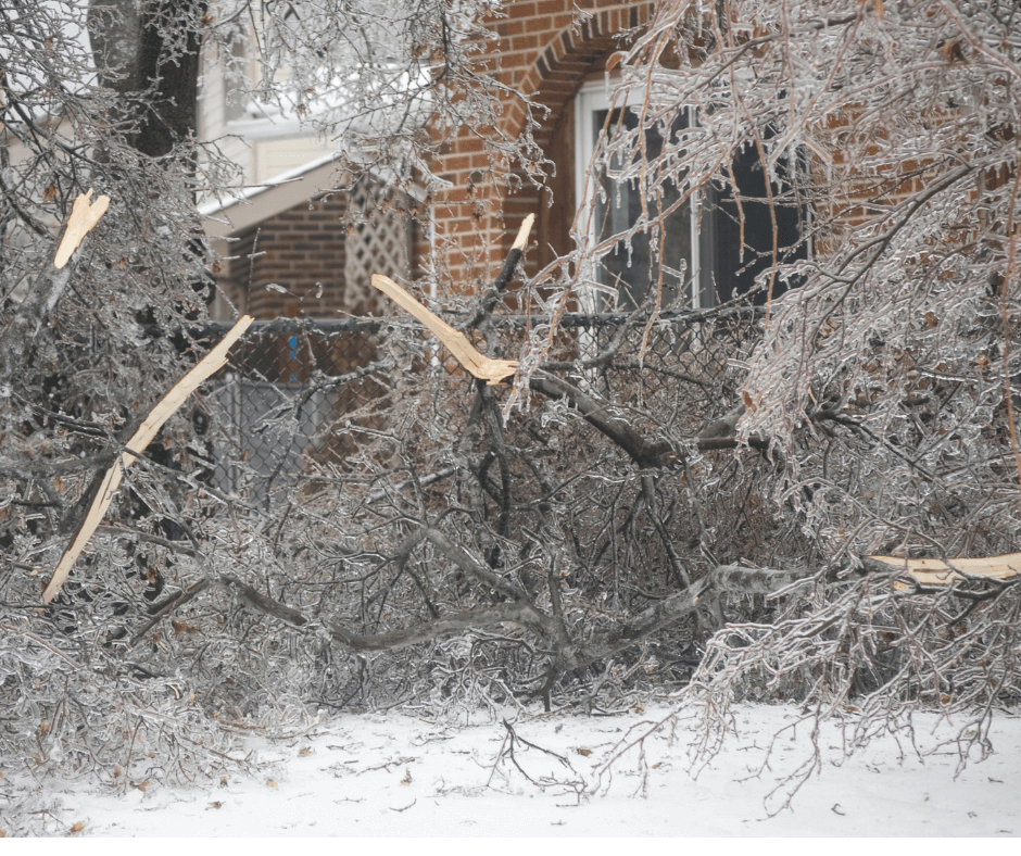 winter storm damages